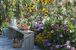 Summer flower bed on wooden deck