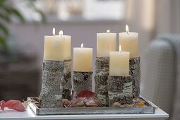 Pieces of Betula (birch) as candle holder on wooden coaster, nuts