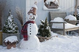 Snowman with clay pot as hat, scarf, cabbage stump as pipe, carrot as nose