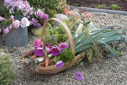 Harvest basket from the organic garden