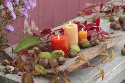Candles on curved wooden board, decorated with walnuts