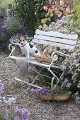White bench at the aster bed