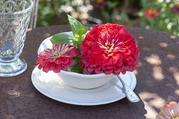 Table decoration with zinnias