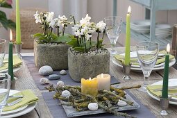 Table decoration with mini phalaenopsis