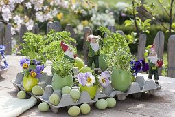 Egg box with planted eggs and as a vase with flowers