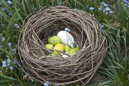 From willow branches homemade Easter nest between Myosotis