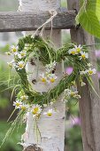 Maiengruen : Herz gewunden aus aus Gras , dekoriert mit Blüten von Kamille