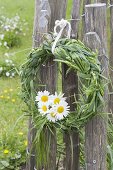 Maiengrün wreath braided from grasses, decorated with Leucanthemum