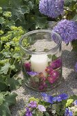 Grosses Glas als Windlicht mit Blüten von Rosa 'Maria Lisa' (Kletterrose)