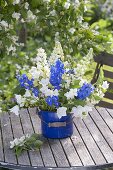 Blue-white bouquet of Lupinus 'Miss', Delphinium