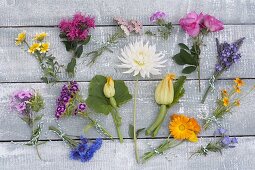Tableau with edible flowers of perennials, garden flowers and vegetables