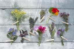 Tableau with edible flowers of herbs