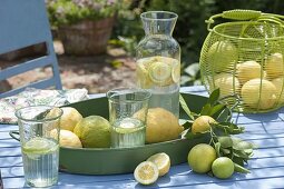 Tablett und Korb mit frisch gepflueckten Zitronen (Citrus limon), Krug