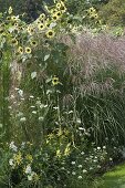 White-yellow bed with summer flowers and grasses