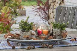 Forest table decoration with bark, leaves and beechnut cups