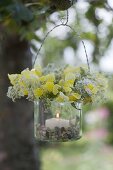 Glass as a lantern with Antirrhinum flowers