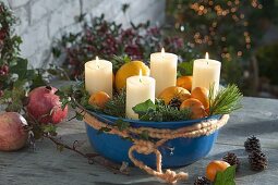 Blue bowl with oranges, clementines, Pinus branches