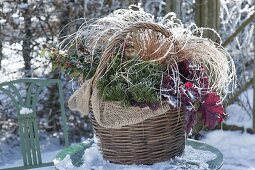 Winterly planted basket with Ilex (Holly), Heuchera