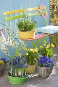 Blue-yellow planted spring terrace with colorful folding chairs