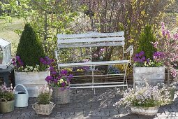 Spring terrace with planted containers and garden bench