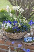 Blue and white spring basket on the wall