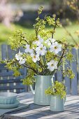 Narcissus poeticus spring bouquets