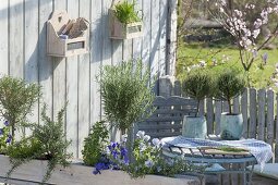 Terrasse mit bepflanzten Euro-Paletten als Sichtschutz