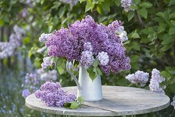 Luscious bouquet of different varieties syringa in zinc can