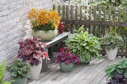 Terrasse mit Pflanzen für den Halbschatten