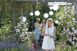 Pavillon mit Rosen und wildem Wein