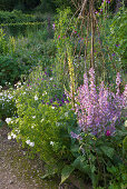 Painswick Rococo Garden, Gloucestershire: THE KITCHEN Garden