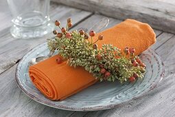 Napkin in wreaths of seeds of fennel (Foeniculum)