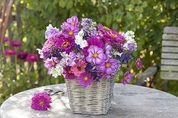 Fragrant summer bouquet in basket vase, Zinnia (Zinnia), Cosmos