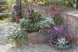 Wooden box, zinc bowl and clay pots on gravel terrace