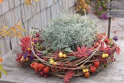 Autumn wreath of clematis tendrils, decorated with Acer leaves