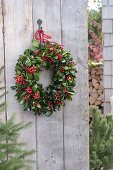 Ilex (holly) with red berries wreath