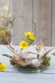 Small Easter decoration on glass bowl with feathers and moss with Eranthis