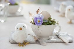 Easter table decoration, cup with viola cornuta blossoms