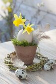 Kleine Osterdeko : Terracotta-Topf mit Moos , Blüten von Narcissus