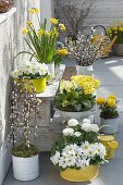 Spring in yellow-white on the terrace
