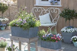 Spring terrace with gray boxes and tubs