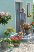 Hauseingang mit Rosenstamm und Balkonblumen