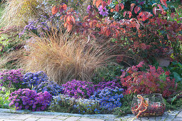 Autumn bed with perennials and grasses