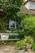 Vintage bench on terrace outside climber-covered country house