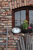 Zinktablett mit Hennenmotiv und Blumenkasten auf Fensterbank, davor Ostereier