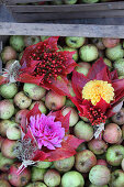 Sträußchen aus Dahlien, Hagebutte und roten Weinblättern