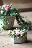 Romantic arrangements of ivy and roses in vintage containers