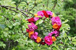 Wreath of hydrangeas and roses in shades of red and orange hung in fruit tree