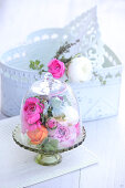 Colourful ranunculus under glass cover on glass cake stand