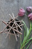 Flower stand made from twigs and wire on pot and snake's head fritillaries